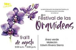 Festival de Orquídeas en Cataño 2024