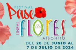 Festival Paseo Lineal de las Flores 2024