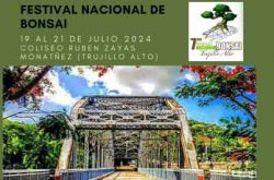 7mo Festival Nacional de Bonsai 2024