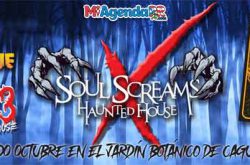 Soul Screams Haunted House 2024