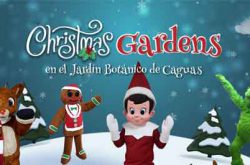 Christmas Gardens en Caguas 2024