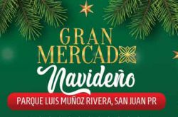 Gran Mercado Navideño en San Juan 2024